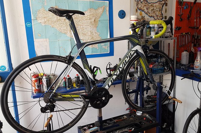 Rent road bike - Carbon or aluminum, choosing the right ride