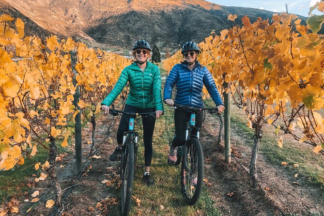 Ride Queenstown’s Stunning Trails on a Mountain Bike - The main drawback: standard bikes and demanding climbs