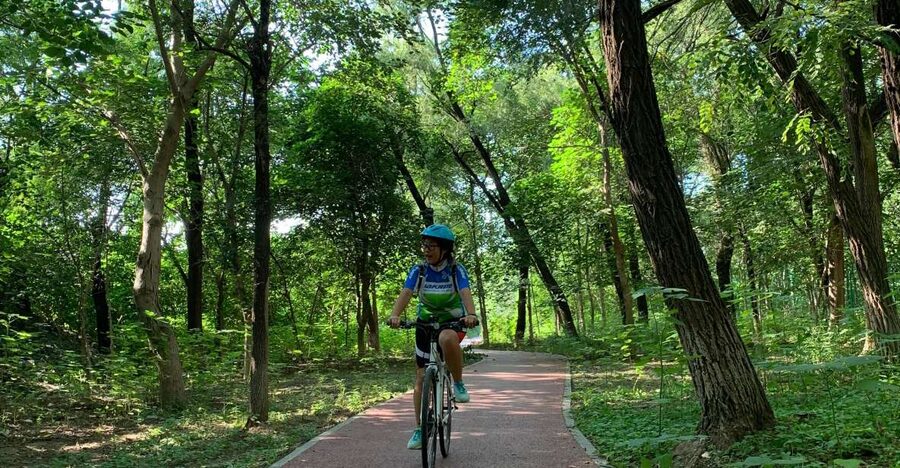 Riverside Cycling With A Native - What $51 buys you