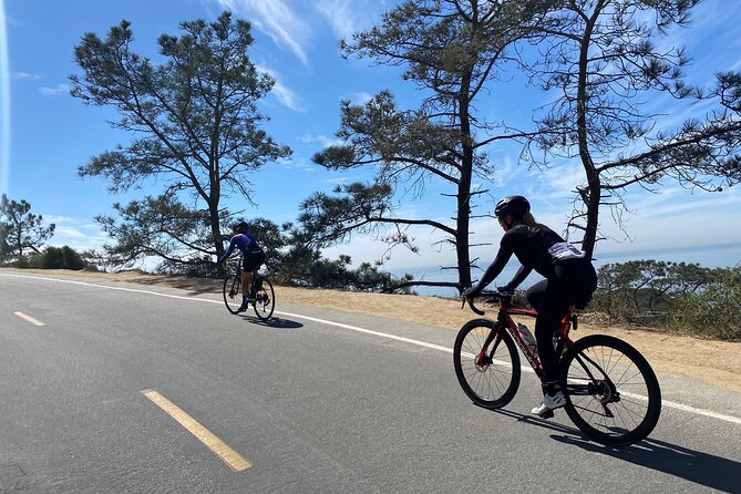 Road Bike Ride - designed for serious cyclists - Key points at a glance