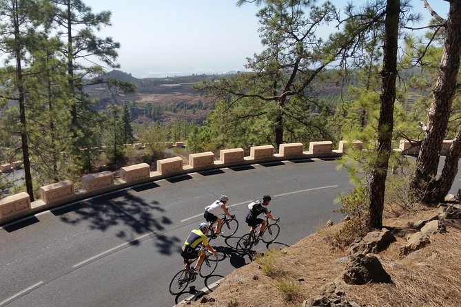 Road Cycling Tenerife - Teide Route - A serious Teide ride, not a casual bike outing