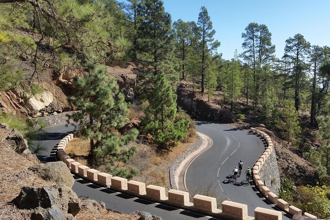Road Cycling Tenerife - Teide Route - What the $111.98 price includes