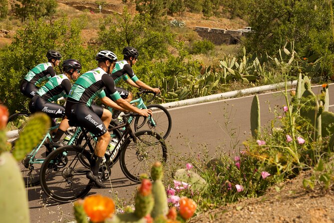 Road Cycling Tenerife - Vilaflor Route - From Playa de las Americas to Tenerife’s high country