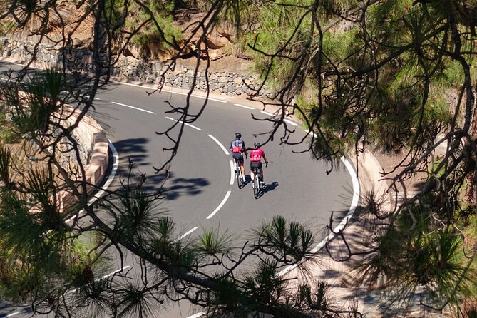 Road Cycling Tenerife - Vilaflor Route - Is the Vilaflor cycling tour worth booking?