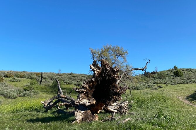 Rocky Peak Electric Mountain Biking Tour (Beginner) - Is $169 a Fair Price?