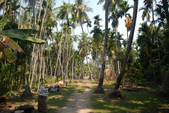 Ruins Temples of Beng Mealea Cycling Tour - Why cycling makes Beng Mealea feel different