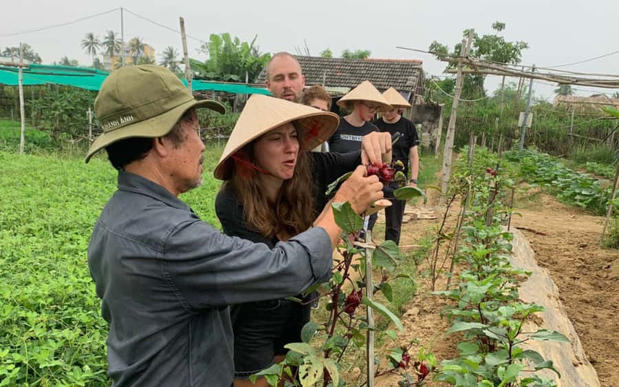 Rural Cycle, Market Tour, Basket Boat & Organic Farm Cooking - Cycling from town to rice fields