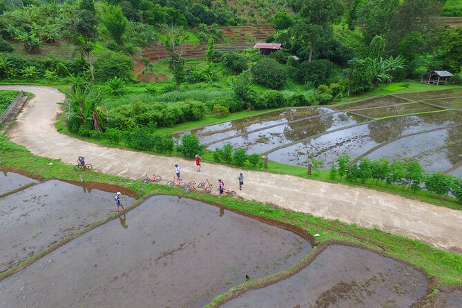 Rural Explorer Mountain Biking Tour Chiang Mai - How the guides handle different abilities