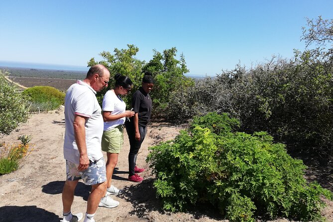 Safari Cycle and !Khwa ttu San Heritage Experience - Practical details for a smooth day