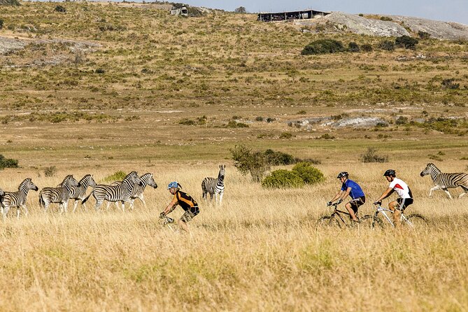 Safari Cycle and !Khwa ttu San Heritage Experience - A relaxed bicycle safari through the reserve