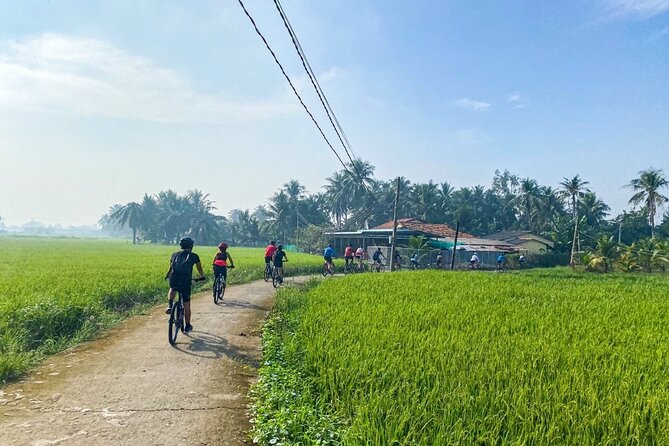 Saigon Countryside Cycling Adventure - What the bicycle route is really like
