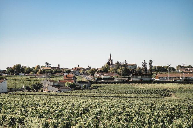 Saint-Emilion Electric Bike Day Tour with Wine Tastings & Lunch - Free time in the UNESCO-listed village