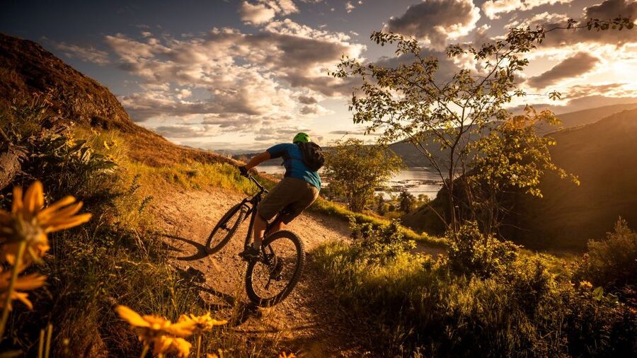 Salzburg: City and Countryside Mountain Bike Tour - The views are the reward for taking it easy