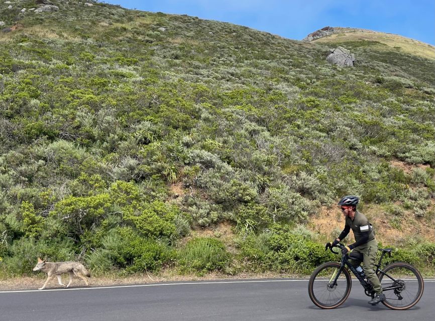San Francisco: Marin Headlands Gravel Biking Tour +GG Bridge - Views of the Pacific and San Francisco Skyline