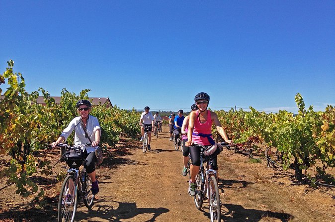 Santa Rosa Bike & Wine Tour - What makes the winery stops feel personal