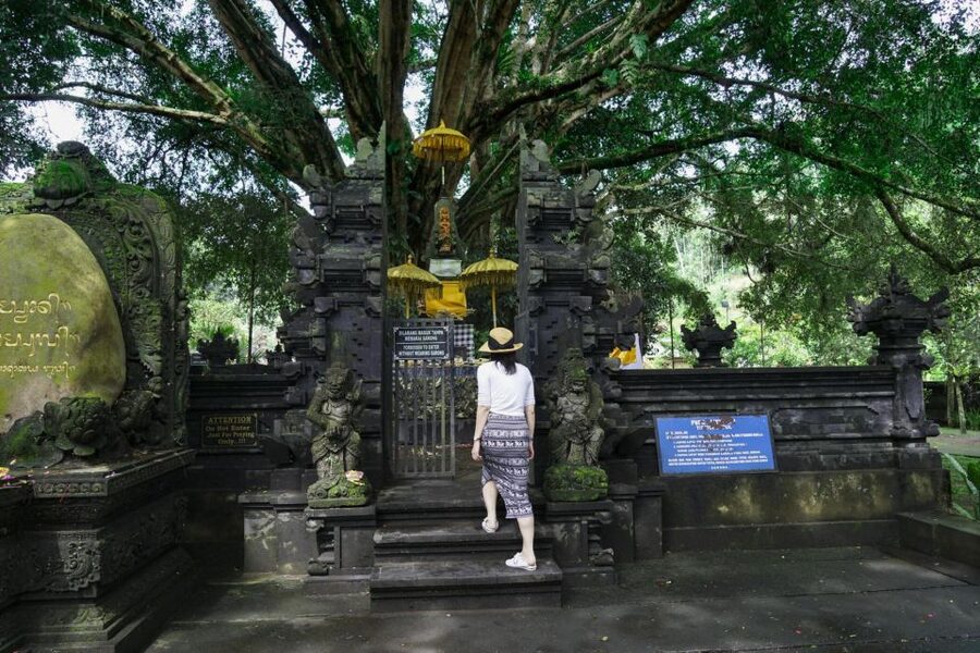 Scenic Cycling Tours Through Bali's Sidemen Countryside - Who will enjoy this ride most?