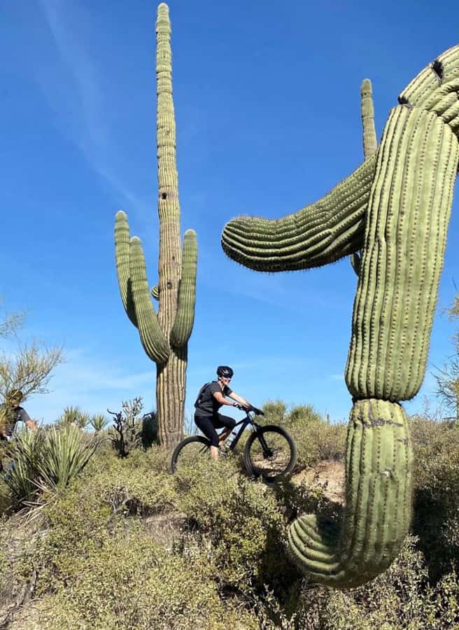 Scottsdale: Guided Mountain Bike Tour through the Desert - Why the desert scenery works better from a bike