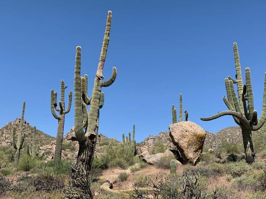 Scottsdale: Private Guided Mountain Bike Tour - Is the $143 price good value?