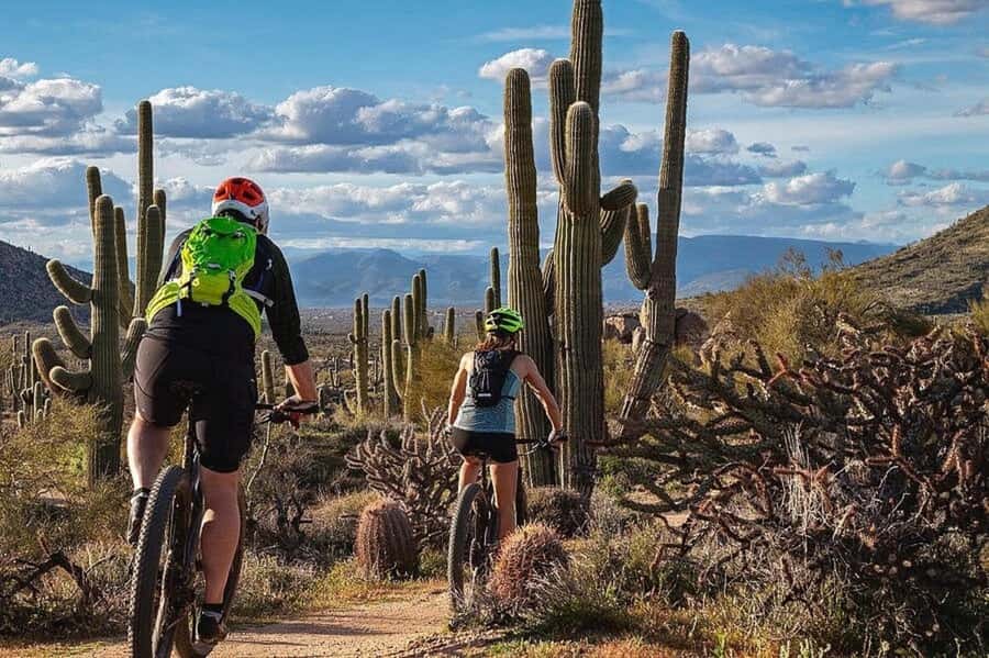 Scottsdale: Private Guided Mountain Bike Tour - Choosing the right bike and trail pace