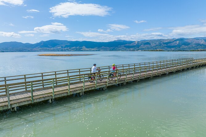 Self-guided E-bike cycle tour with private wine tasting - Rabbit Island and the coastal scenery