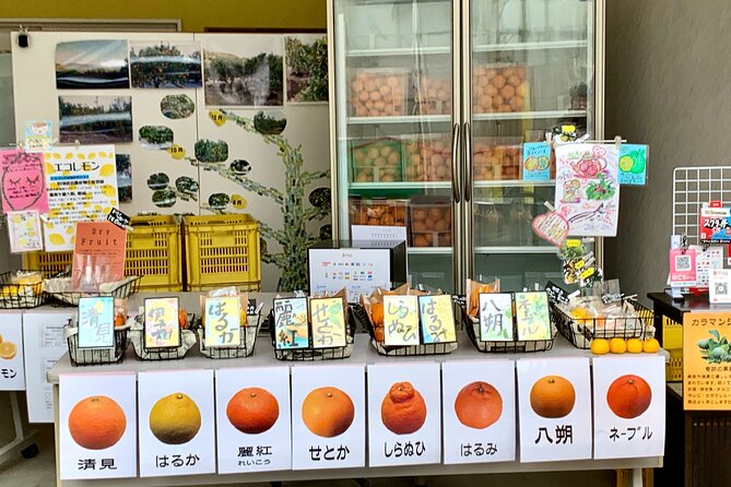 Shimanami Kaido, 1Day Relaxed Island Hopping Cycling Tour - Ikuchijima, citrus country and art on the coast