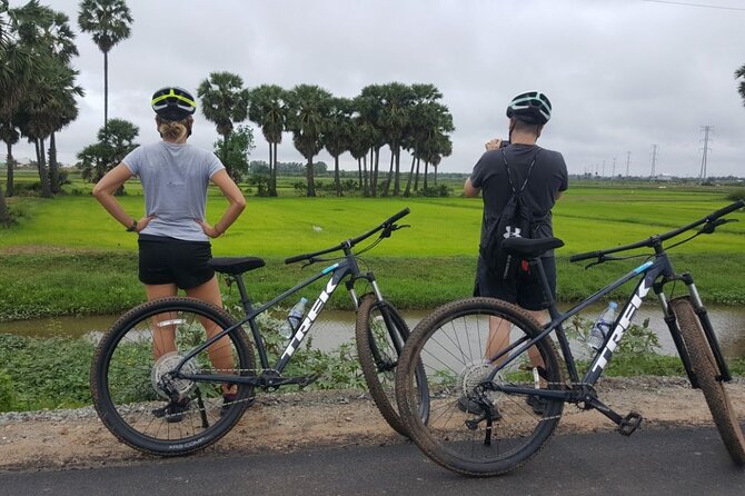 Short Cycling at Countryside - Rice fields that change color with the calendar