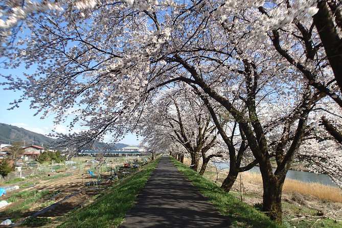 Short Morning Cycling Tour in Hida - What the guides add to the morning