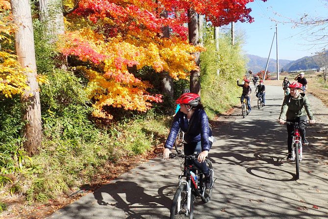 Short Morning Cycling Tour in Hida - Local markets, farm life, and old houses