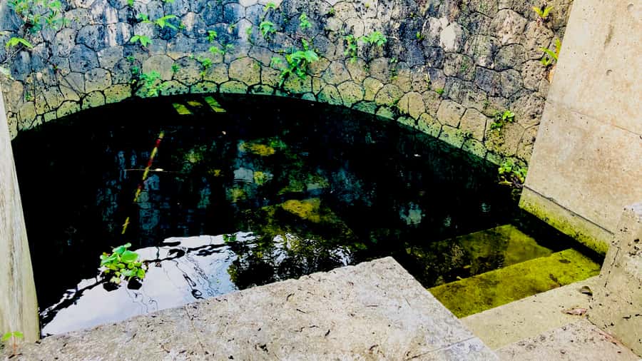 Shuri+Naha: Cycling Tour Explore Water Heritage with E-Bike - The vermilion gate and the climb toward Shuri