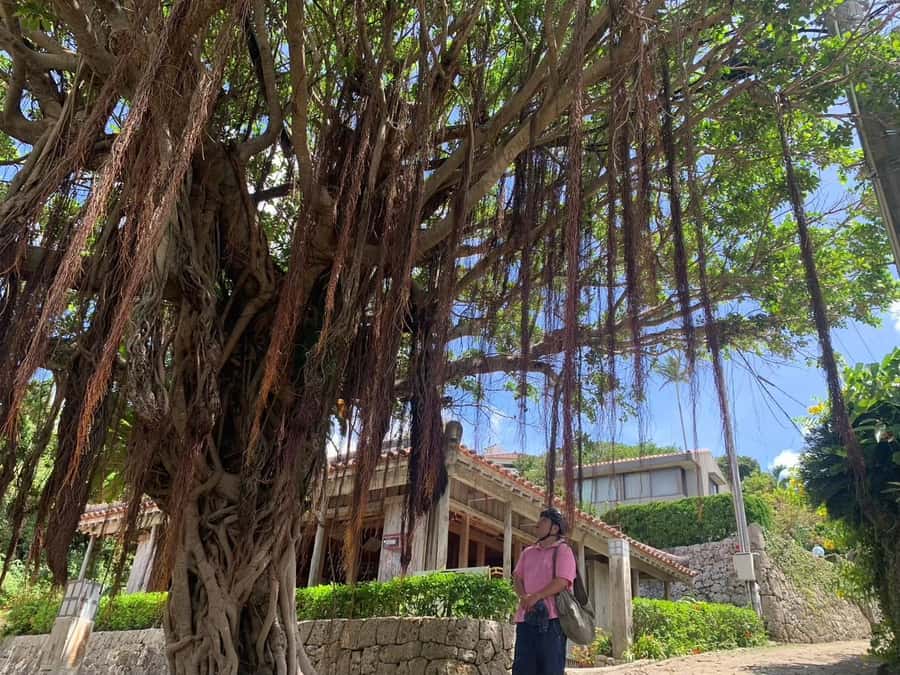 Shuri+Naha: Cycling Tour Explore Water Heritage with E-Bike - Meeting at Makishi and getting ready to ride