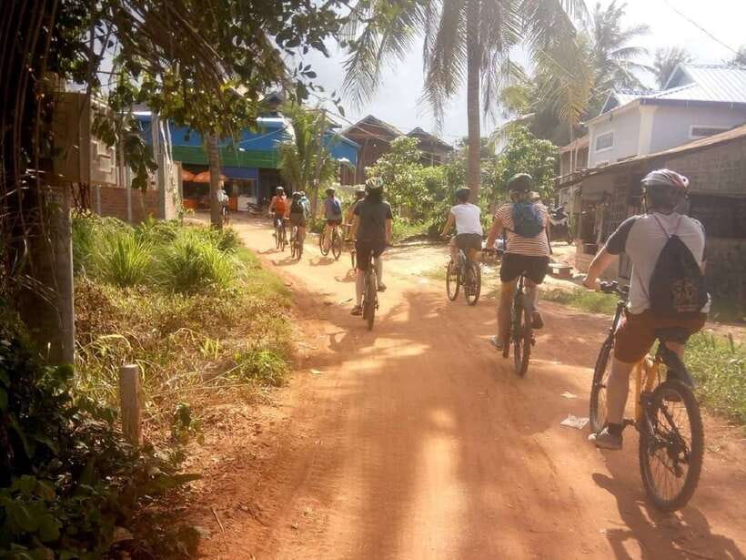 Siem Reap: Countryside Cycle and Local Village Life Tour - Rice fields and the work behind Cambodia’s staple food