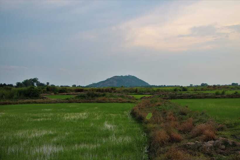 Siem Reap: Countryside Cycle and Local Village Life Tour - The lotus field at sunset