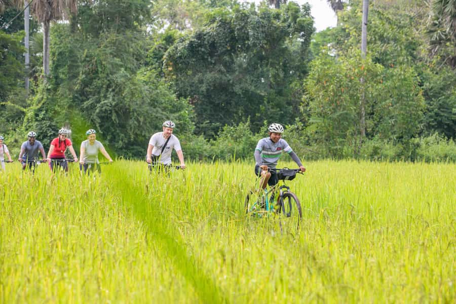 Siem Reap: Guided Countryside Bike Tour - Rice fields and village roads
