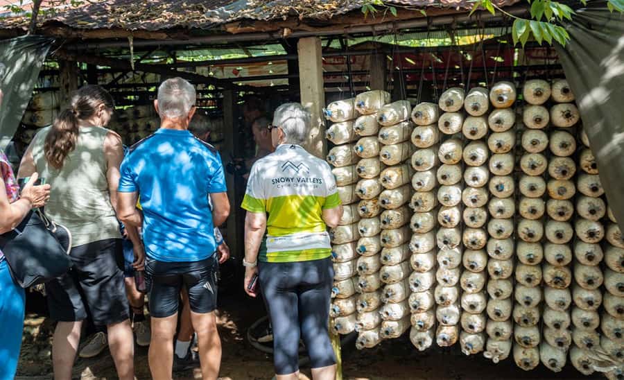 Siem Reap: Guided Countryside Bike Tour - Rice wine and village customs