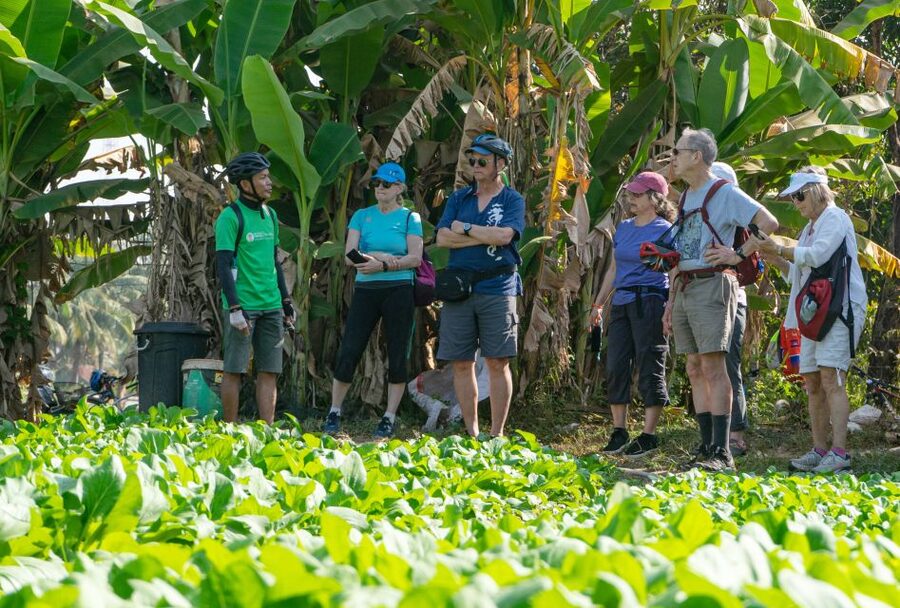 Siem Reap: Guided Countryside Bike Tour - Temples and the quieter side of Siem Reap