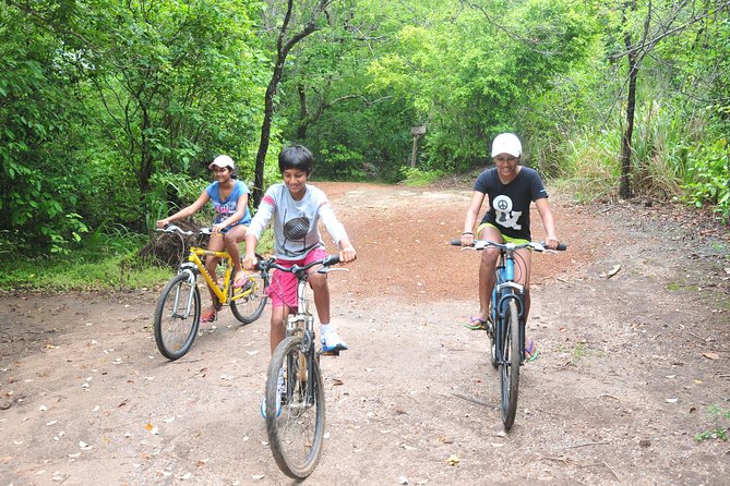 Sigiriya Cycle Tour: Explore Village Life in Sigiriya & Enjoy a Village Lunch - Who will enjoy this Sigiriya experience