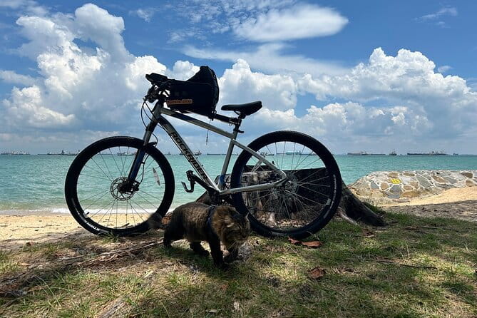 Singapore Beach City Cycling Tour - What the Private Format Changes