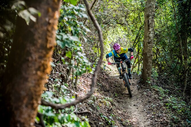 SINGLETRACK MOUNTAIN BIKE - Guided through the jungle - Malpaso or Punta Sayulita: choose honestly