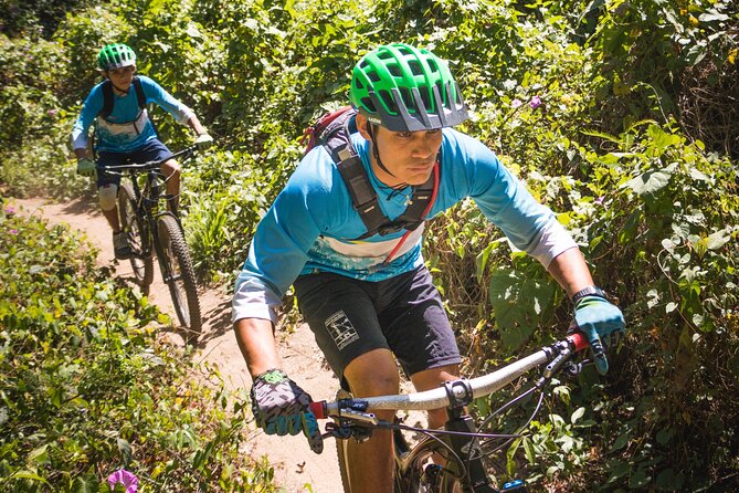 SINGLETRACK MOUNTAIN BIKE - Guided through the jungle - What the ride feels like for different skill levels
