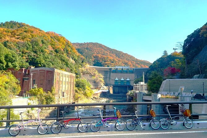Slow Cycling Tour at Uji's Matcha Green Tea Fields and Heritage - Chazuna puts Uji’s matcha in context
