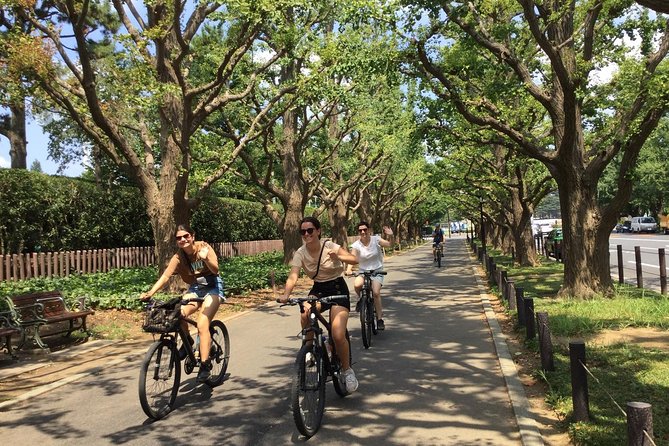 Small Group Cycling Tour in Tokyo - The Imperial Palace and the ride back to Shinjuku