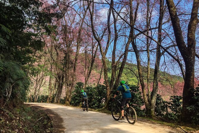 Smoke on the Water Trail Mountain Biking Tour Chiang Mai - Waterfalls and the reward of changing scenery