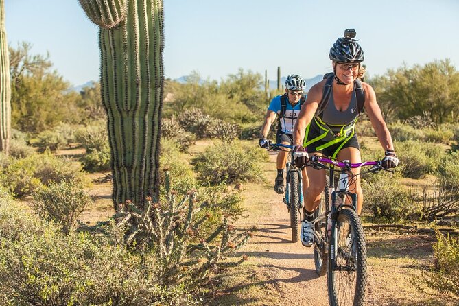 Sonoran Desert Guided Mountain Bike Tour - Key points to know before you book