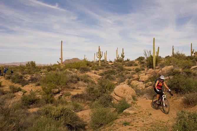 Sonoran Desert Guided Mountain Bike Tour - Riding into the Sonoran Desert from Pima Dynamite Trailhead