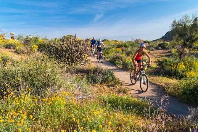 Sonoran Desert Guided Mountain Bike Tour - Desert views across the McDowell peaks