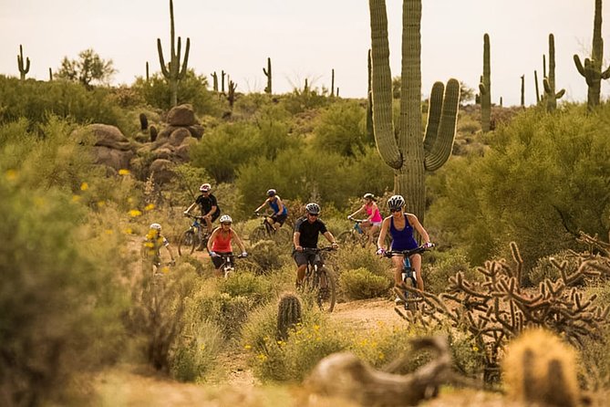 Sonoran Desert Guided Mountain Bike Tour - Coaching, safety, and the small-group setup