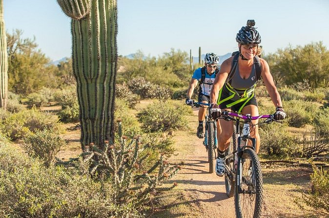 Sonoran Desert Guided Mountain Bike Tour - What the $150 price includes