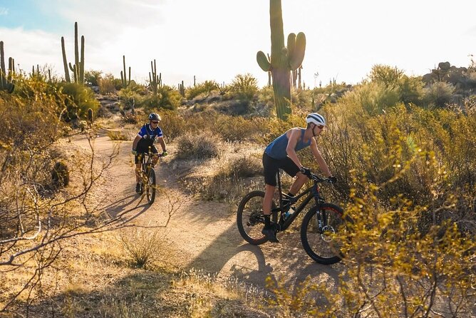 Sonoran Desert Guided Mountain Bike Tour - Who will enjoy this ride most