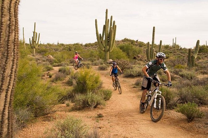 Sonoran Desert Guided Mountain Bike Tour - What to bring and how to prepare