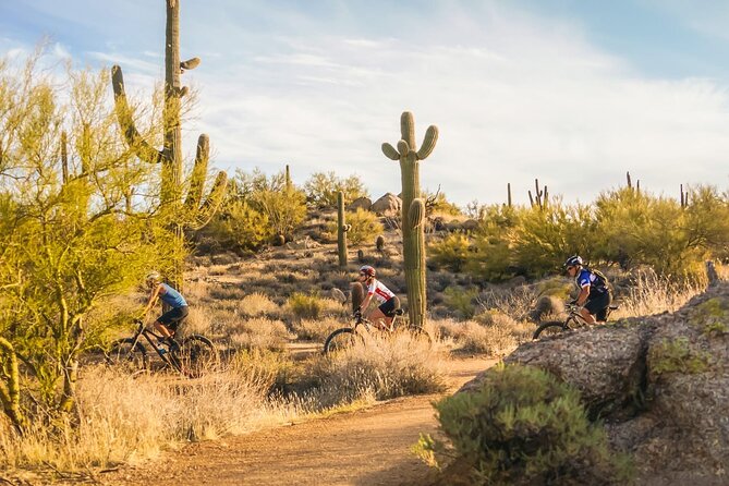 Sonoran Desert Guided Mountain Bike Tour - What the mountain-bike terrain feels like